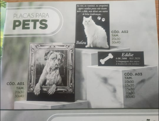 Pet